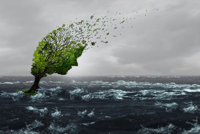Computer generated illustration of a tree in the middle of a choppy sea with a stormy sky. The leaves of the tree are in the shape of a person's face and the leaves are blowing off into the wind, illustrating that learning to cope with eco-anxiety can help us grow. Therapy can give you the tools.
